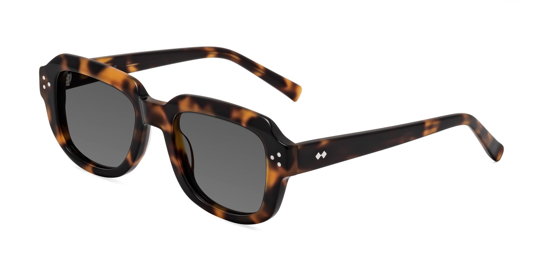 Angle of Bruges in Tortoise with Medium Gray Tinted Lenses