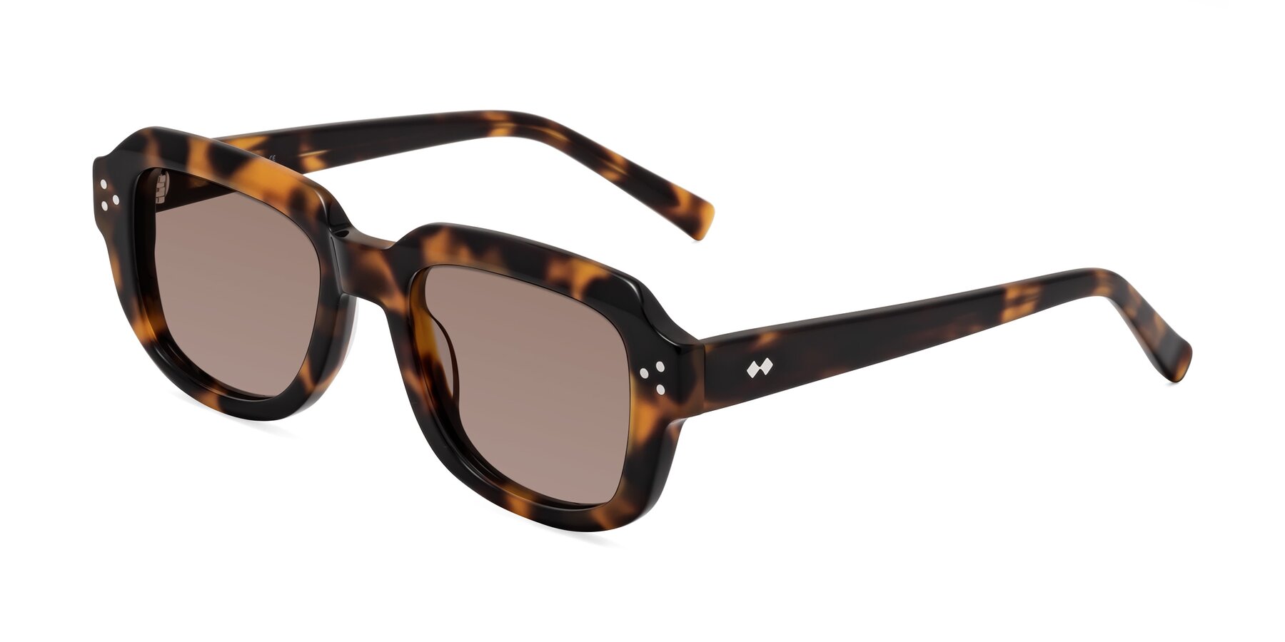 Angle of Bruges in Tortoise with Medium Brown Tinted Lenses