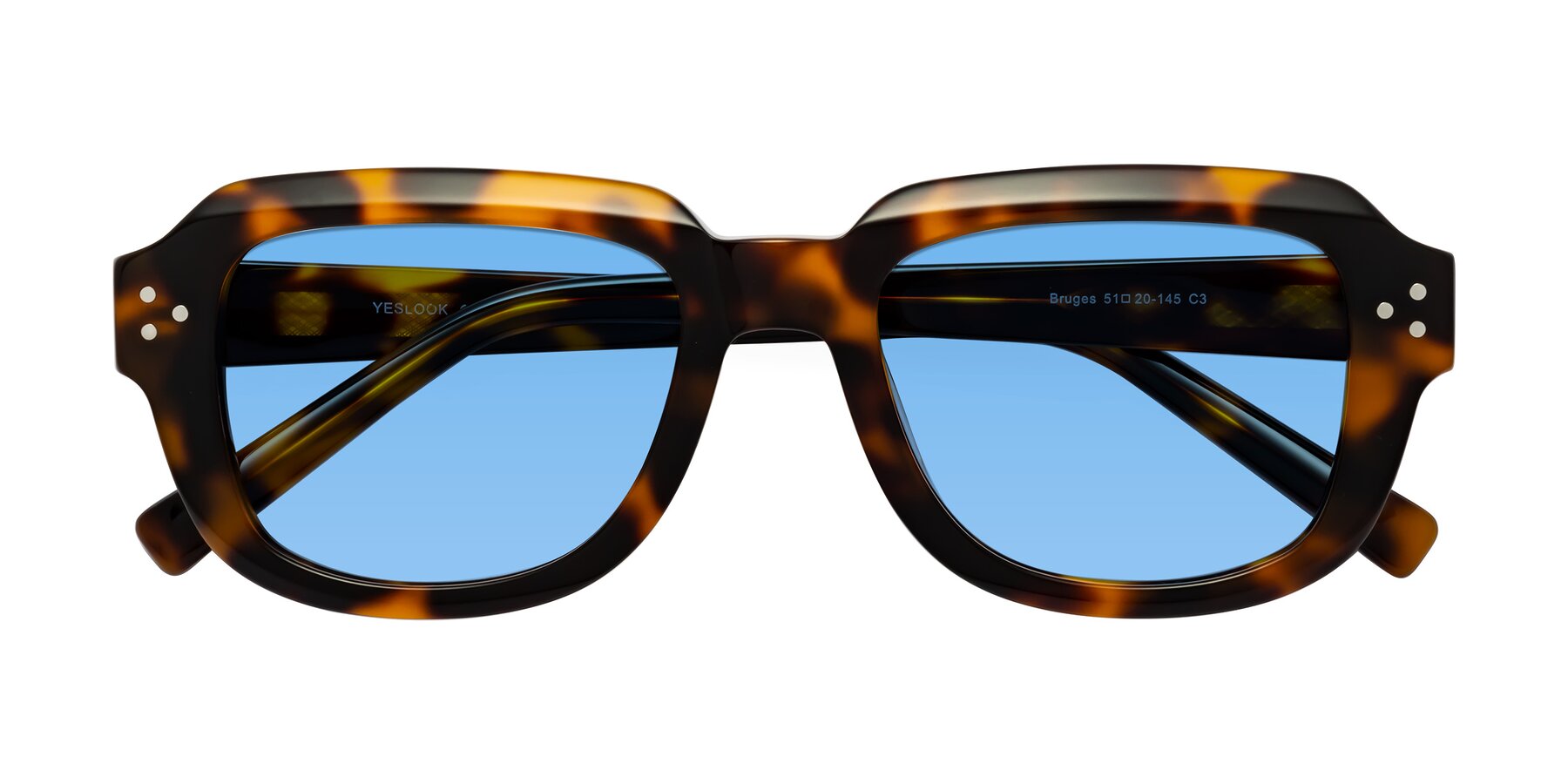 Folded Front of Bruges in Tortoise with Medium Blue Tinted Lenses