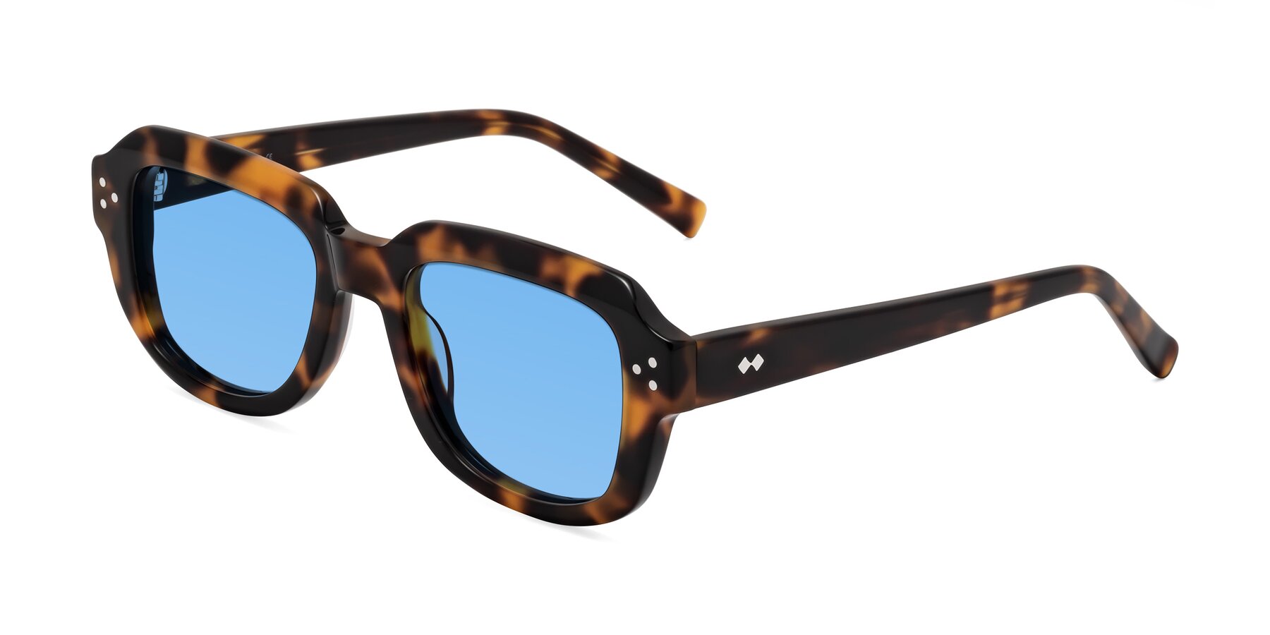 Angle of Bruges in Tortoise with Medium Blue Tinted Lenses
