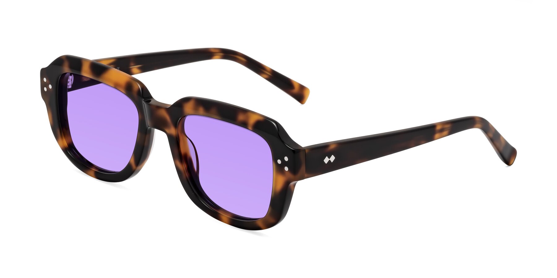 Angle of Bruges in Tortoise with Medium Purple Tinted Lenses
