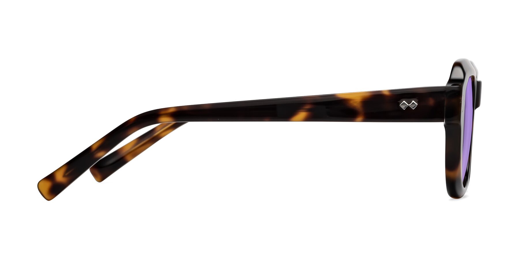 Side of Bruges in Tortoise with Medium Purple Tinted Lenses