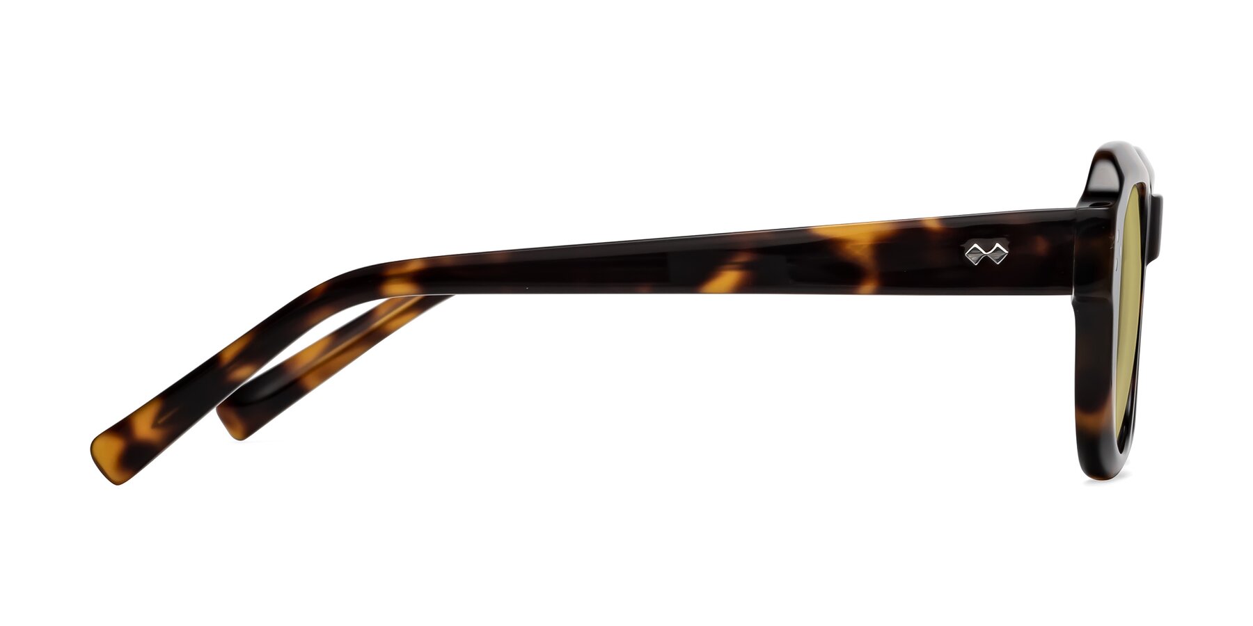 Side of Bruges in Tortoise with Medium Champagne Tinted Lenses