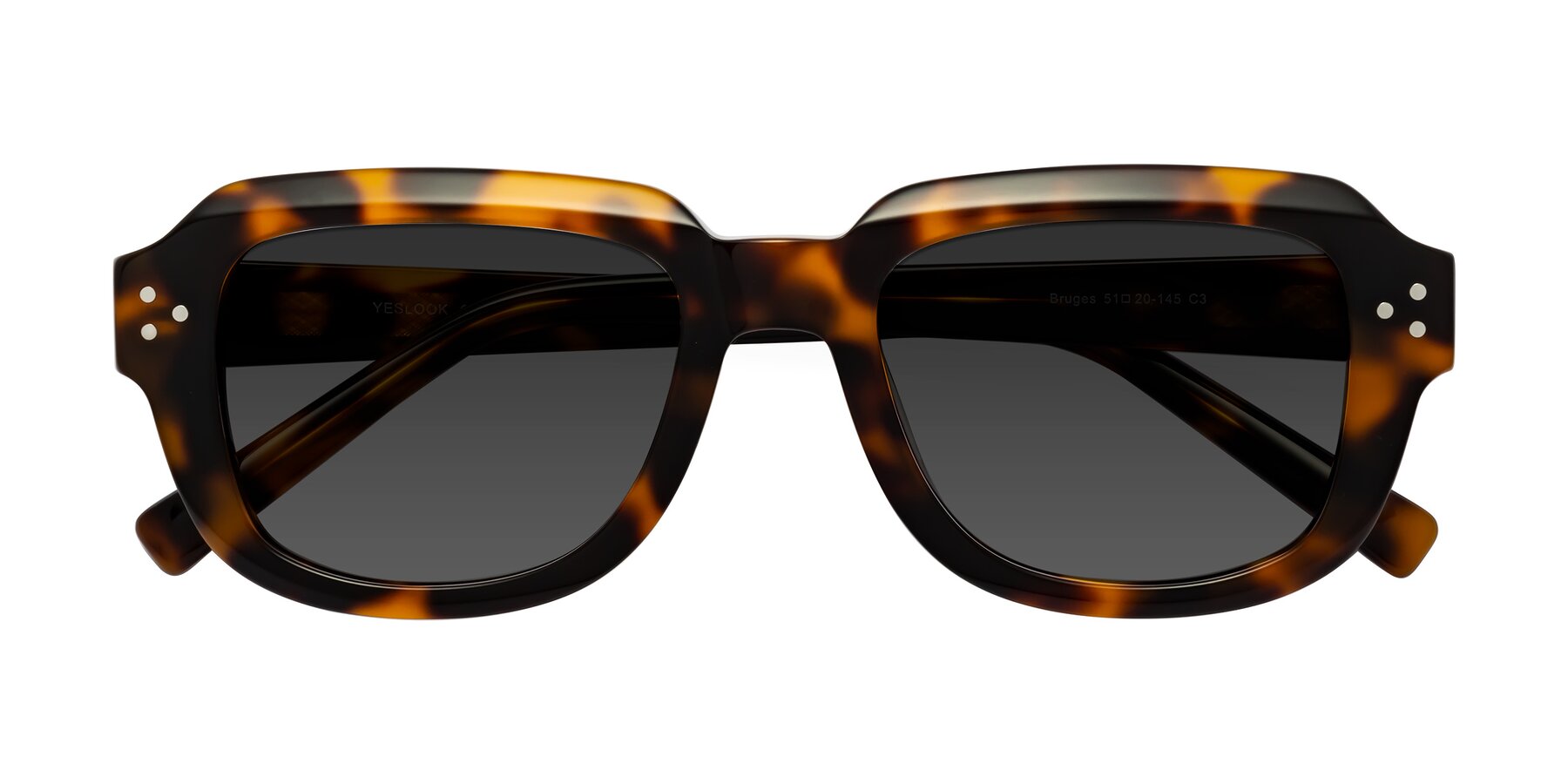 Folded Front of Bruges in Tortoise with Gray Tinted Lenses