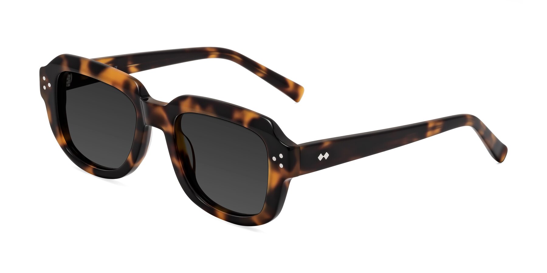 Angle of Bruges in Tortoise with Gray Tinted Lenses