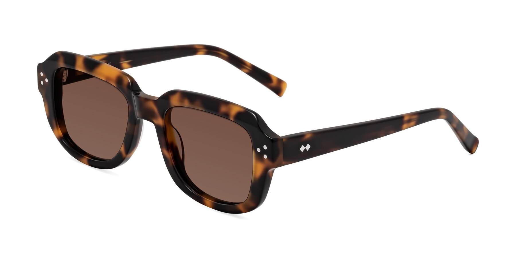 Angle of Bruges in Tortoise with Brown Tinted Lenses