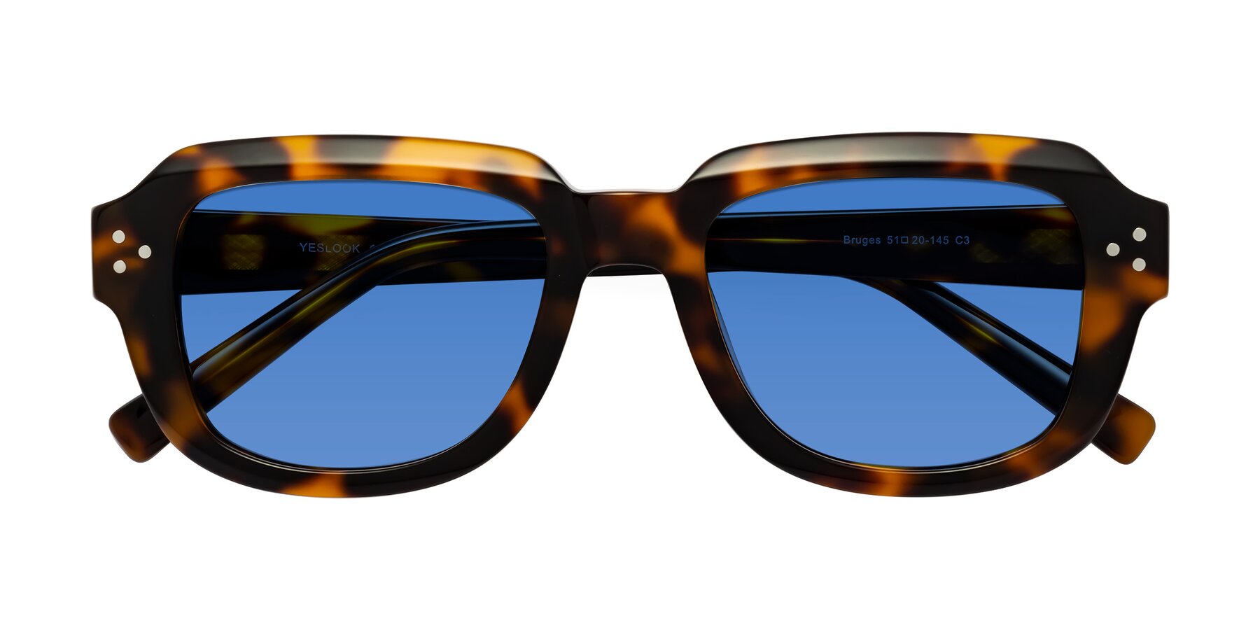 Folded Front of Bruges in Tortoise with Blue Tinted Lenses