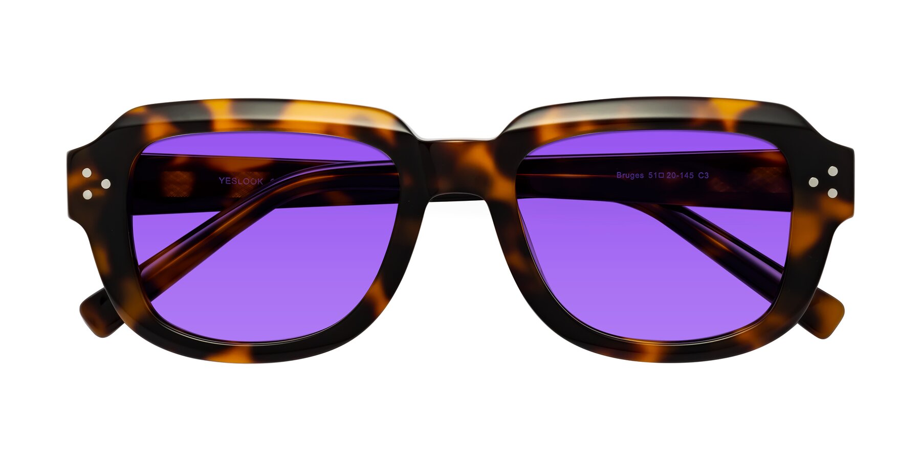 Folded Front of Bruges in Tortoise with Purple Tinted Lenses