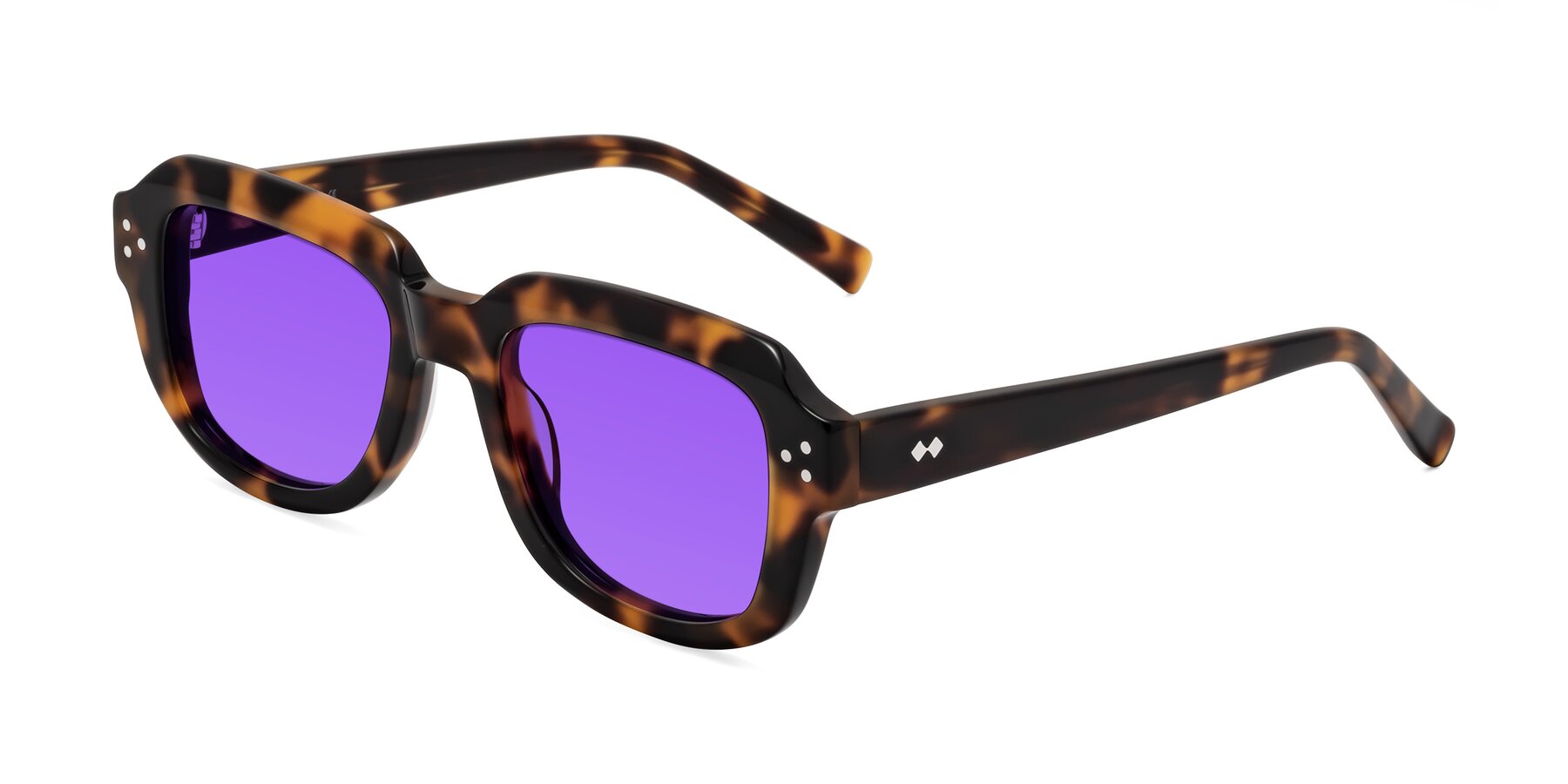 Angle of Bruges in Tortoise with Purple Tinted Lenses
