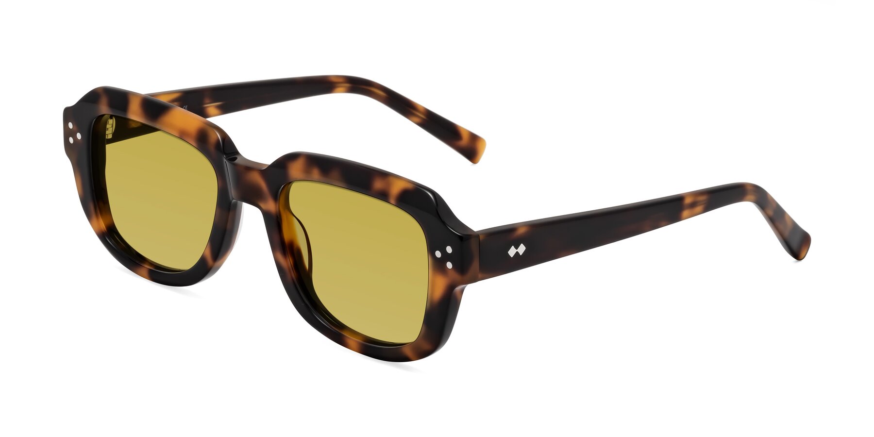 Angle of Bruges in Tortoise with Champagne Tinted Lenses