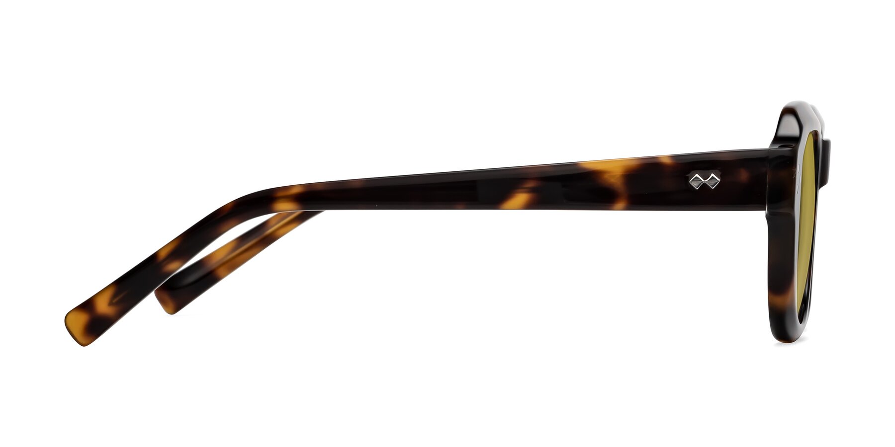 Side of Bruges in Tortoise with Champagne Tinted Lenses