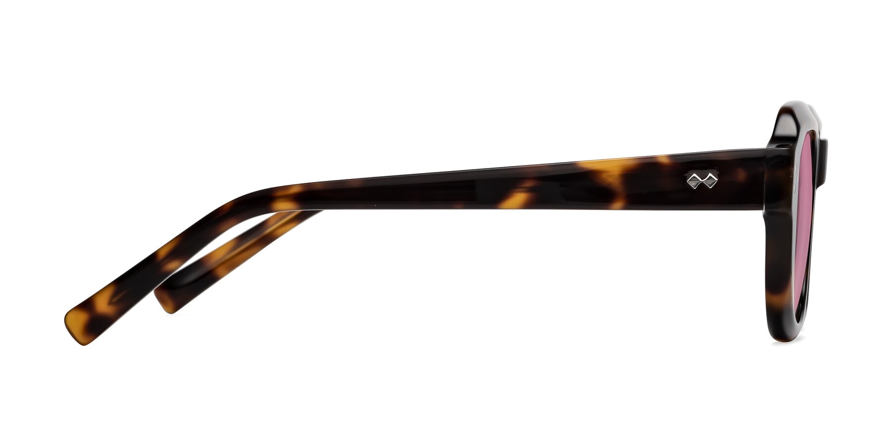 Side of Bruges in Tortoise with Medium Wine Tinted Lenses