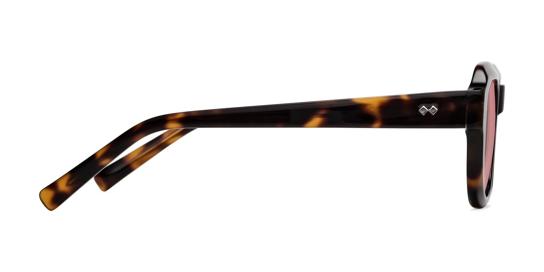 Side of Bruges in Tortoise with Medium Garnet Tinted Lenses
