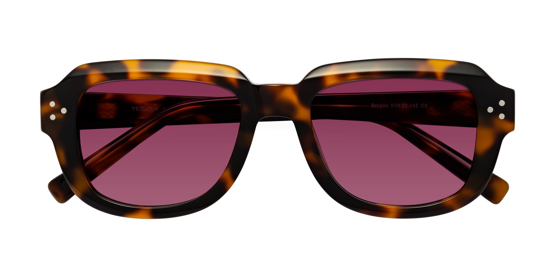 Folded Front of Bruges in Tortoise with Wine Tinted Lenses