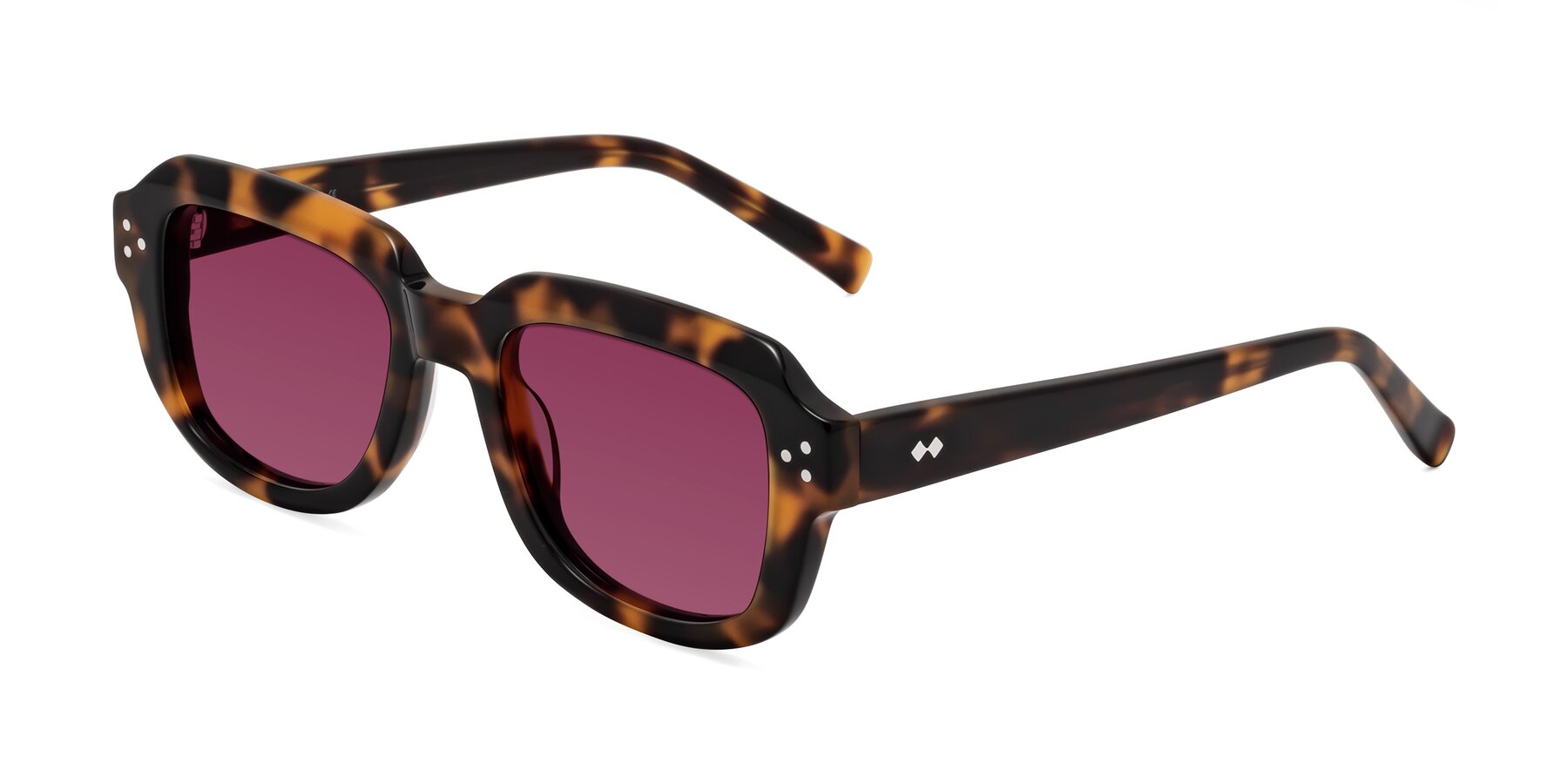 Angle of Bruges in Tortoise with Wine Tinted Lenses