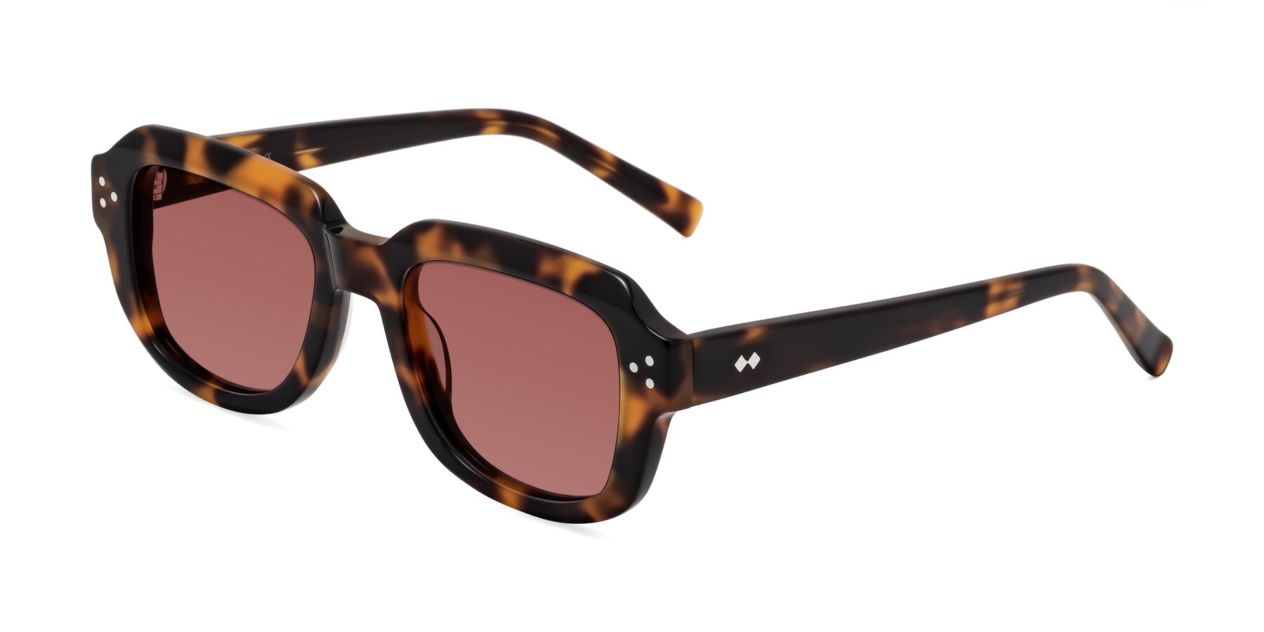 Angle of Bruges in Tortoise with Garnet Tinted Lenses