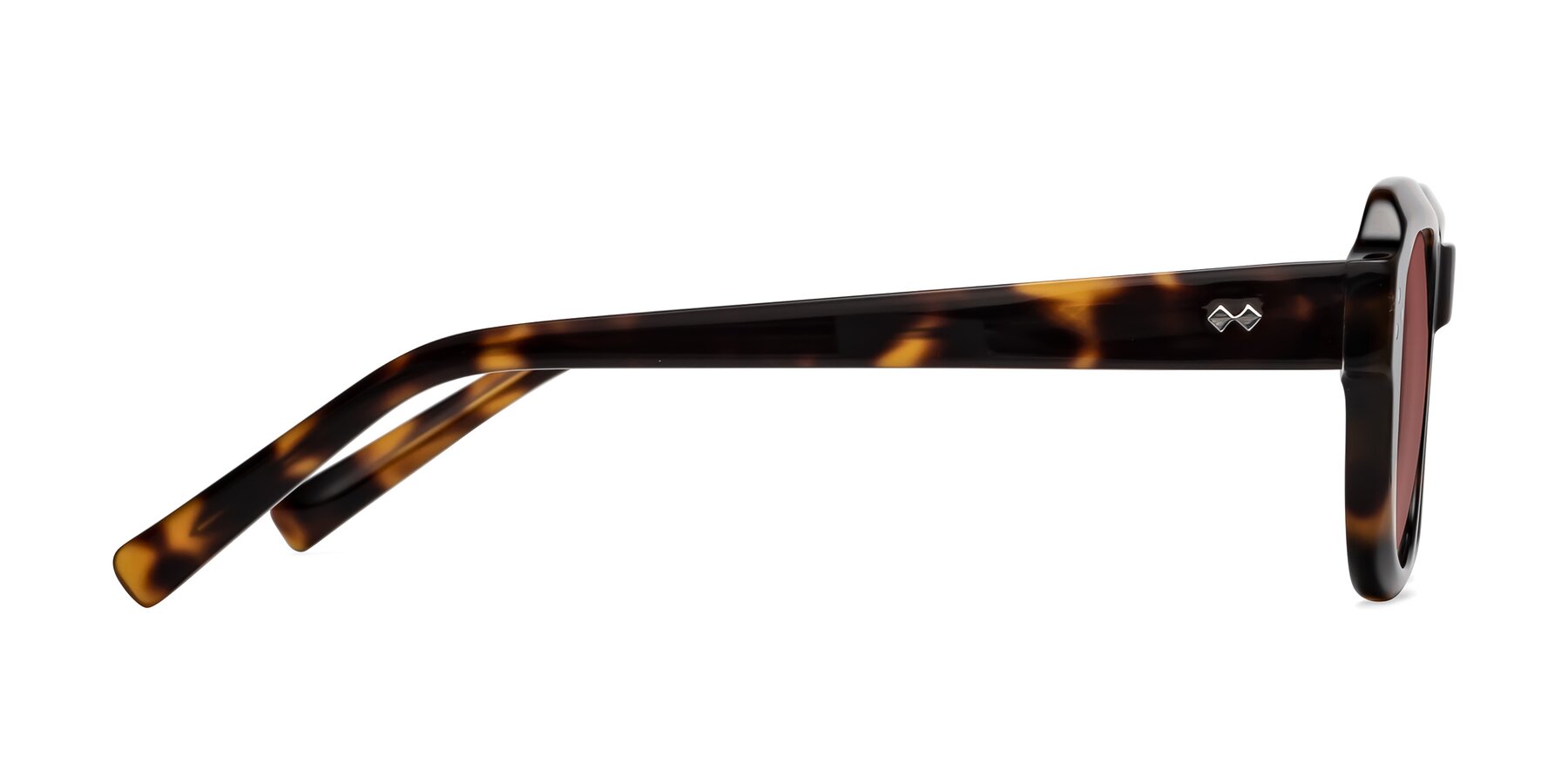 Side of Bruges in Tortoise with Garnet Tinted Lenses