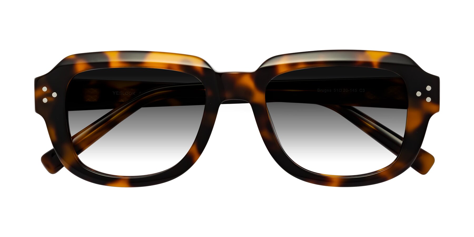 Folded Front of Bruges in Tortoise with Gray Gradient Lenses