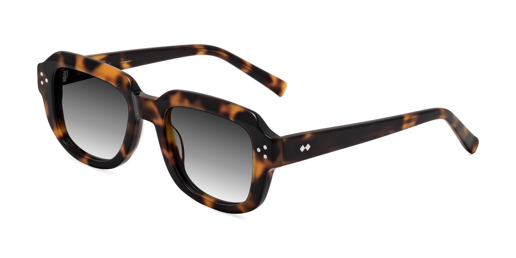 Angle of Bruges in Tortoise with Gray Gradient Lenses