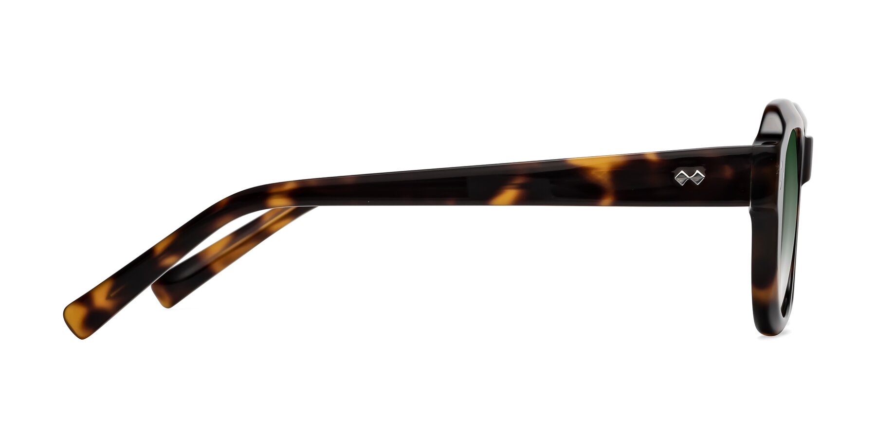 Side of Bruges in Tortoise with Green Gradient Lenses