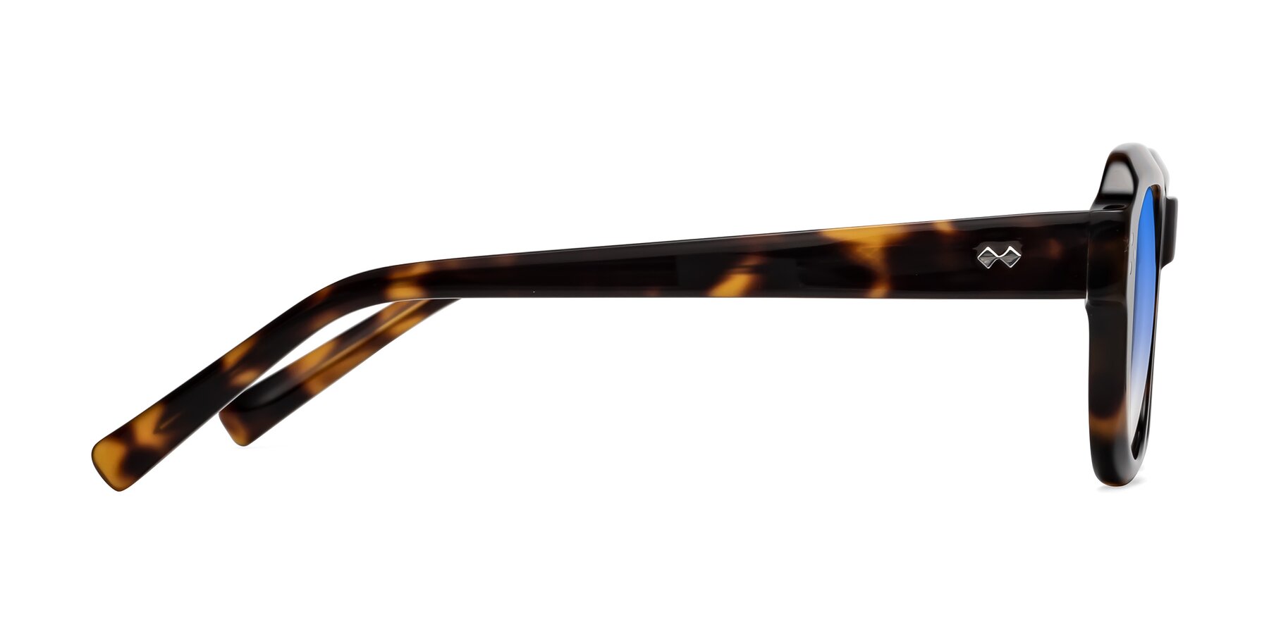 Side of Bruges in Tortoise with Blue Gradient Lenses