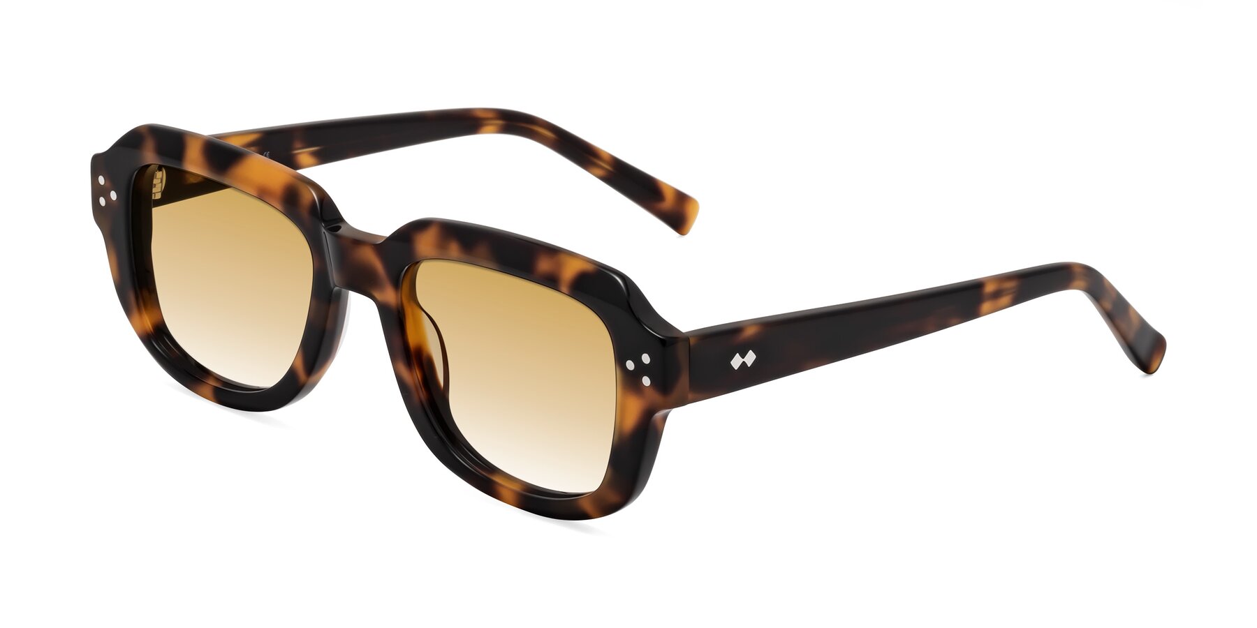 Angle of Bruges in Tortoise with Champagne Gradient Lenses