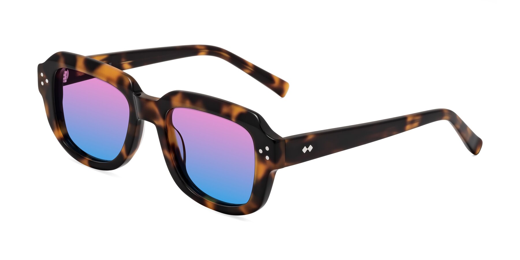 Angle of Bruges in Tortoise with Pink / Blue Gradient Lenses