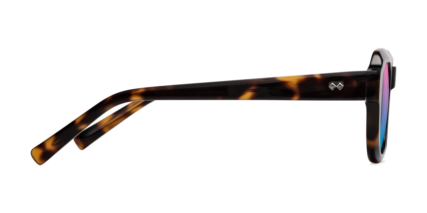 Side of Bruges in Tortoise with Pink / Blue Gradient Lenses