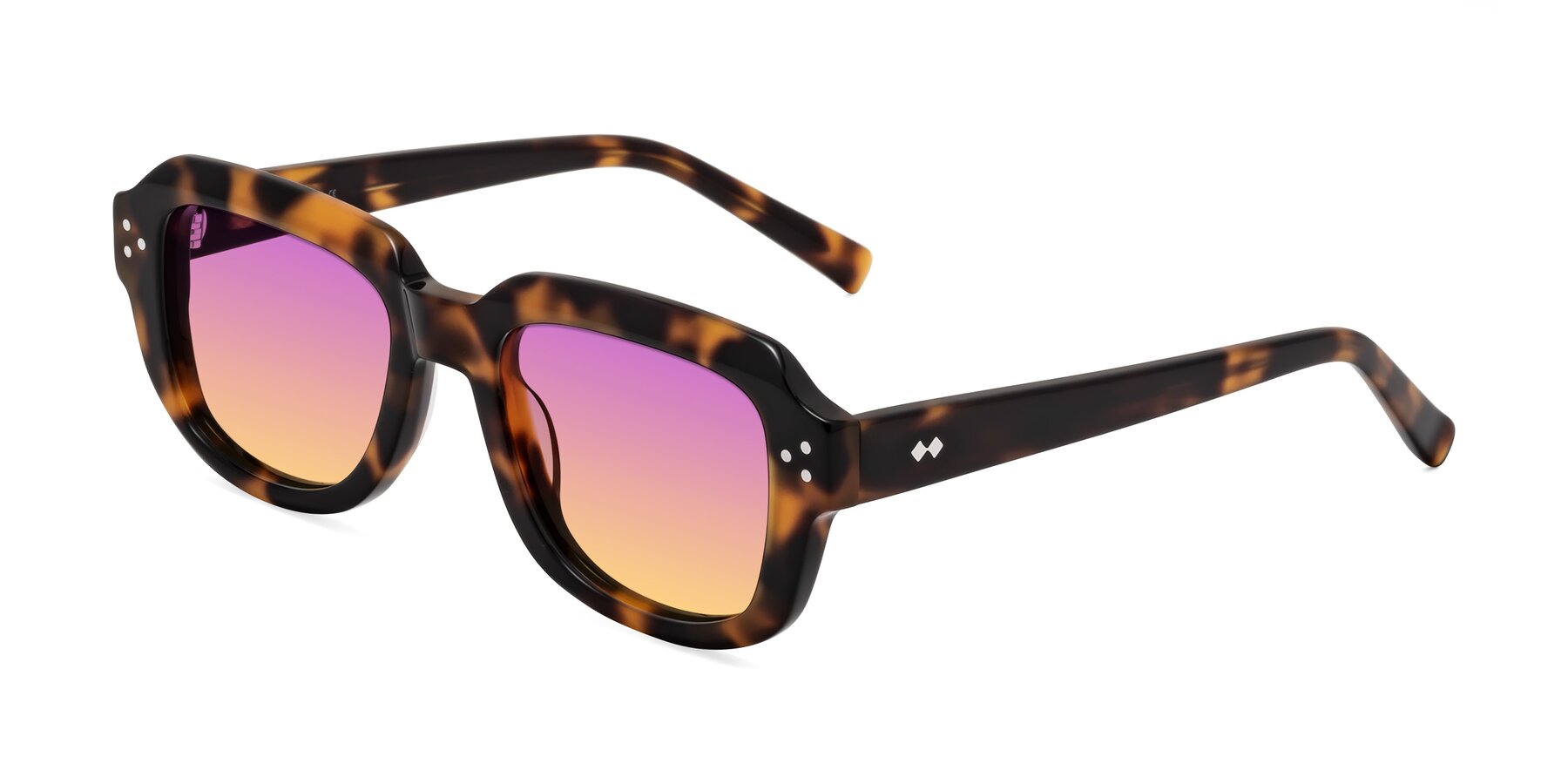 Angle of Bruges in Tortoise with Purple / Yellow Gradient Lenses
