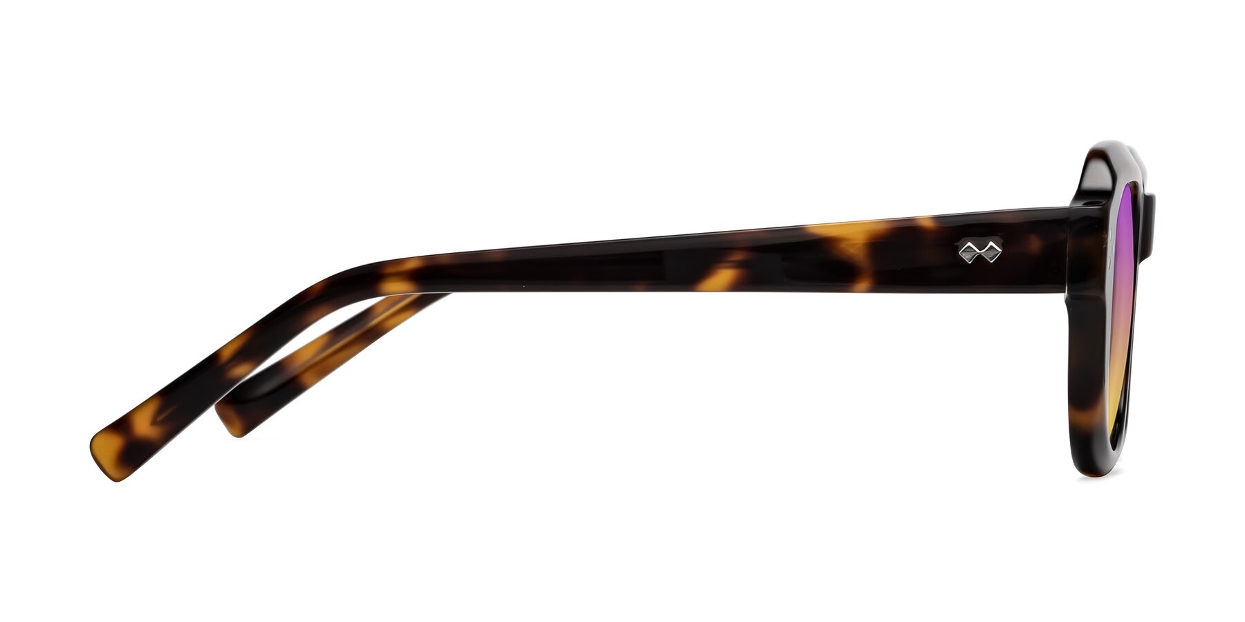 Side of Bruges in Tortoise with Purple / Yellow Gradient Lenses