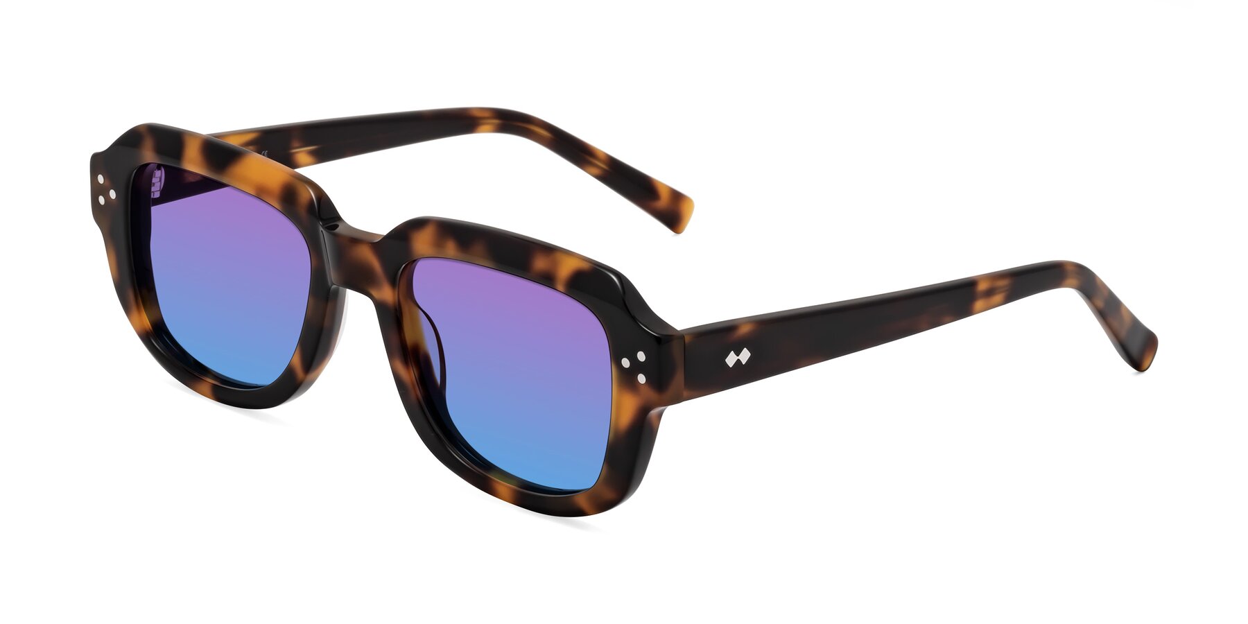 Angle of Bruges in Tortoise with Purple / Blue Gradient Lenses