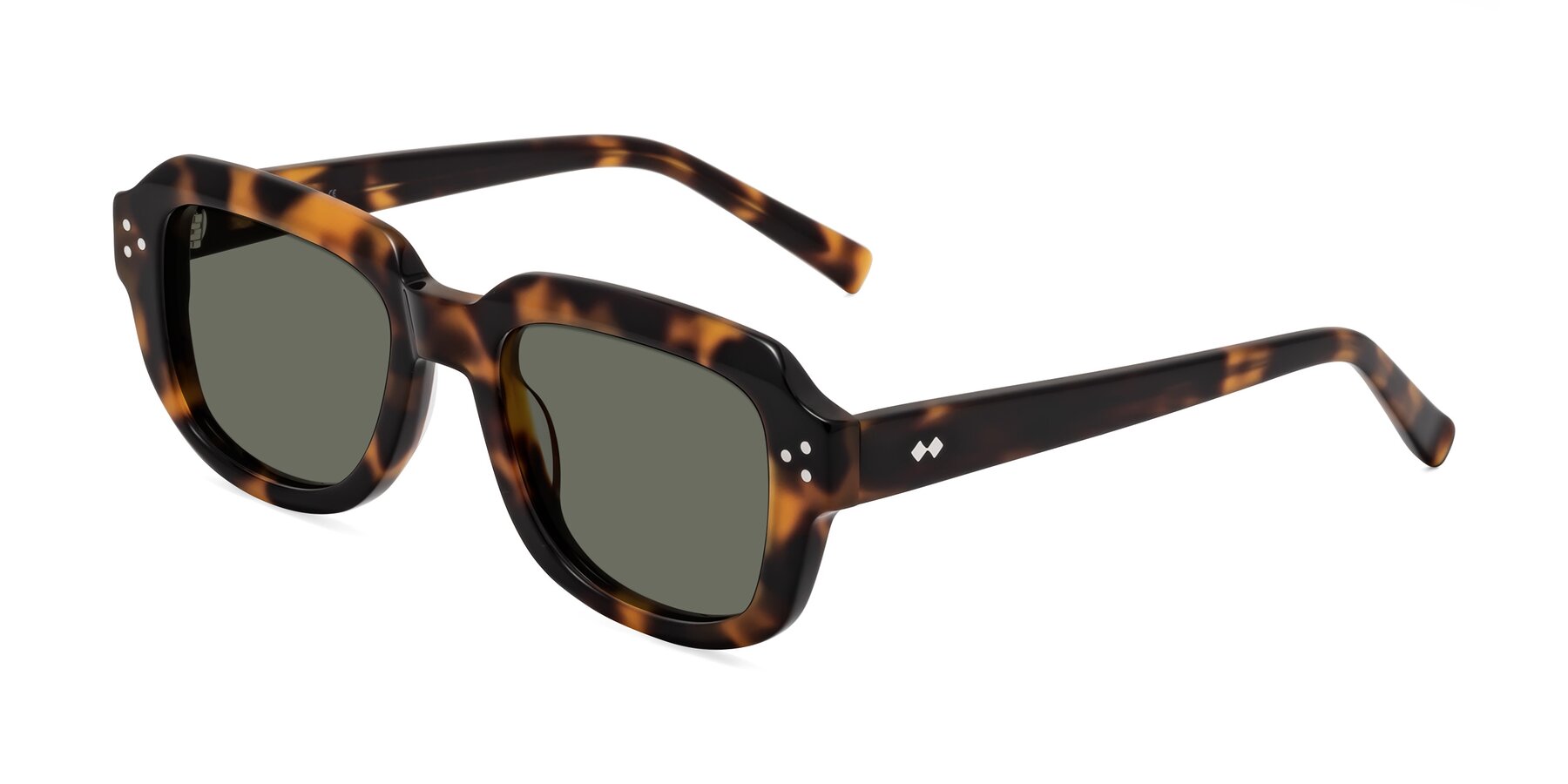 Angle of Bruges in Tortoise with Gray Polarized Lenses