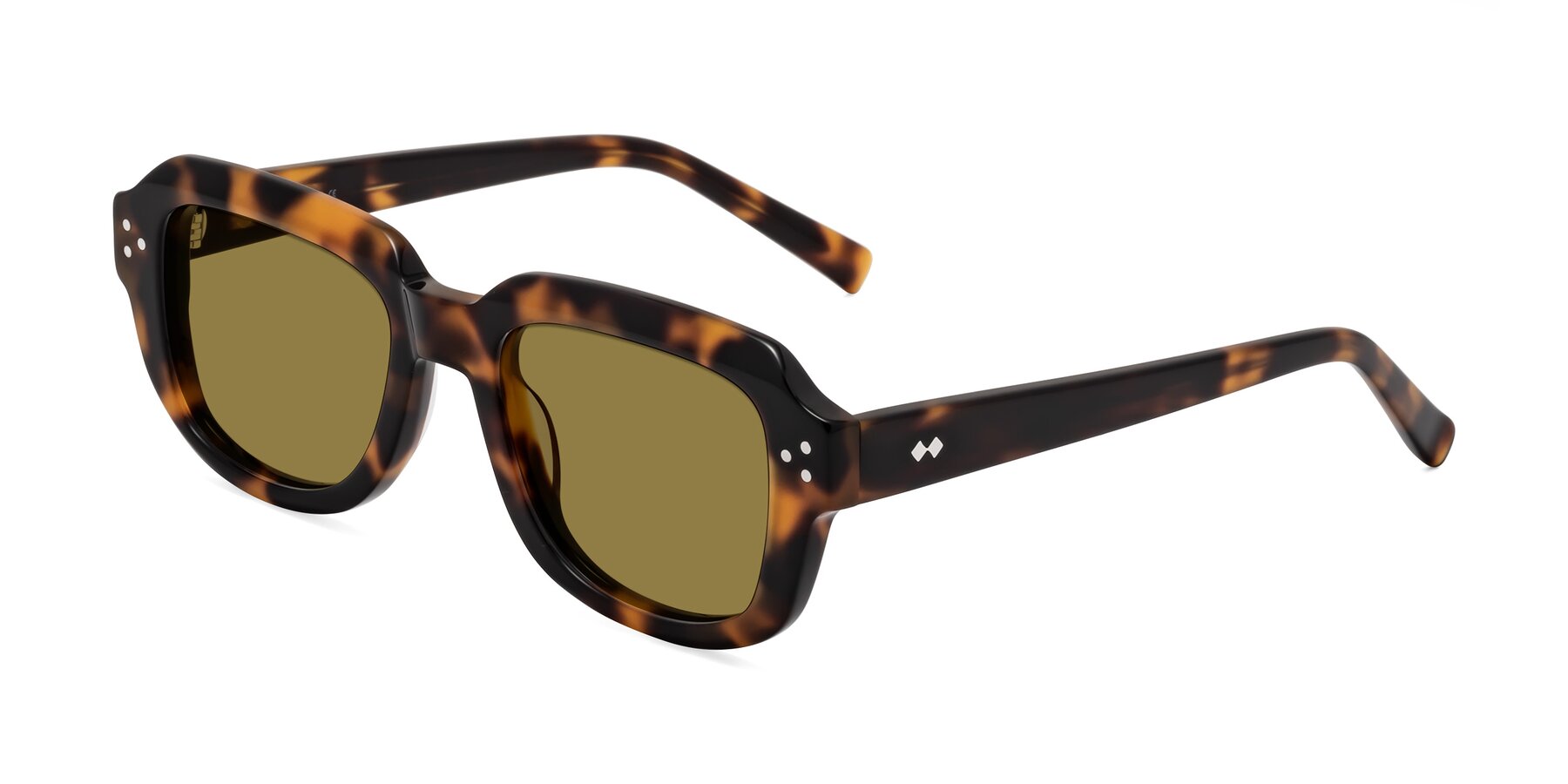 Angle of Bruges in Tortoise with Brown Polarized Lenses