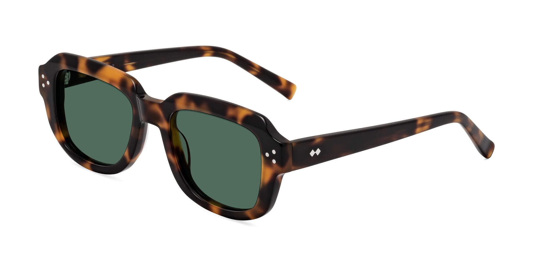 Angle of Bruges in Tortoise with Green Polarized Lenses