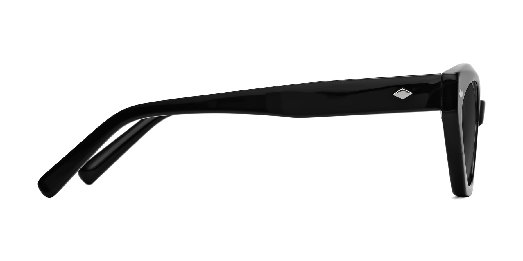 Side of Delphi in Black with Gray Tinted Lenses
