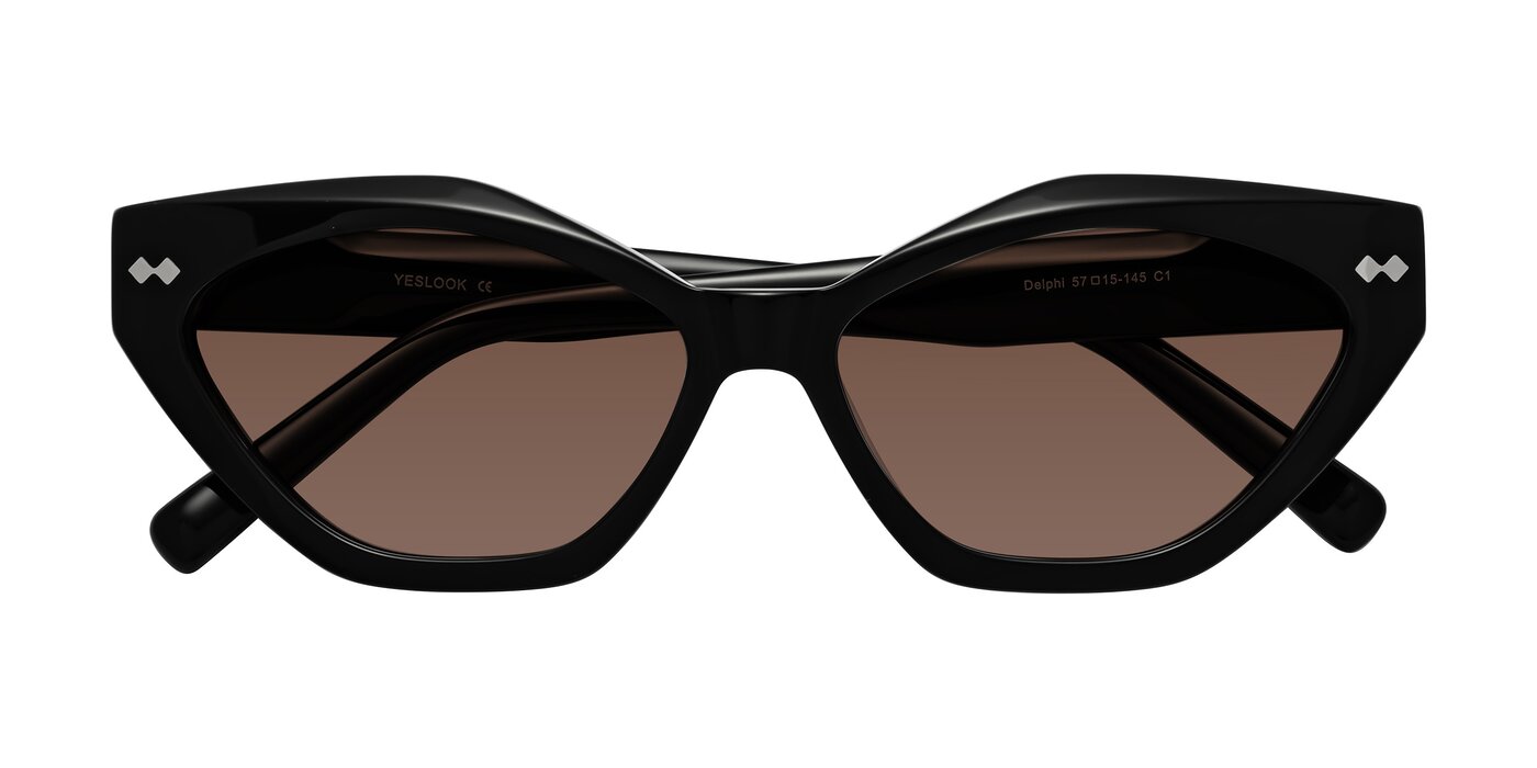 Delphi - Black Tinted Sunglasses