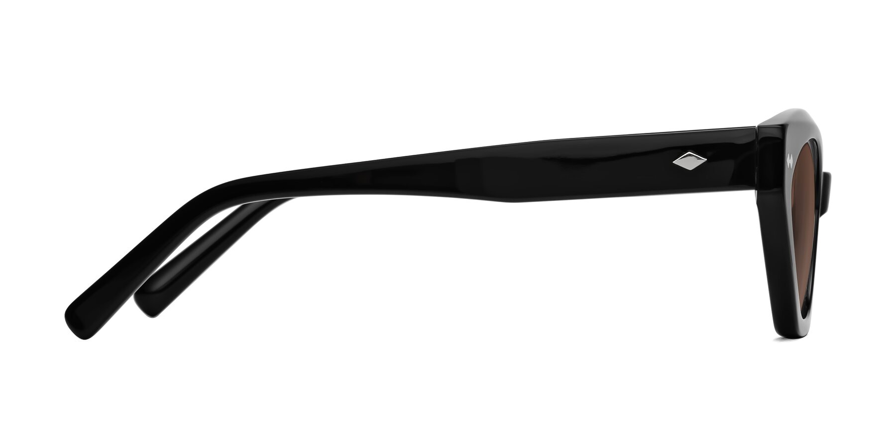 Side of Delphi in Black with Brown Tinted Lenses