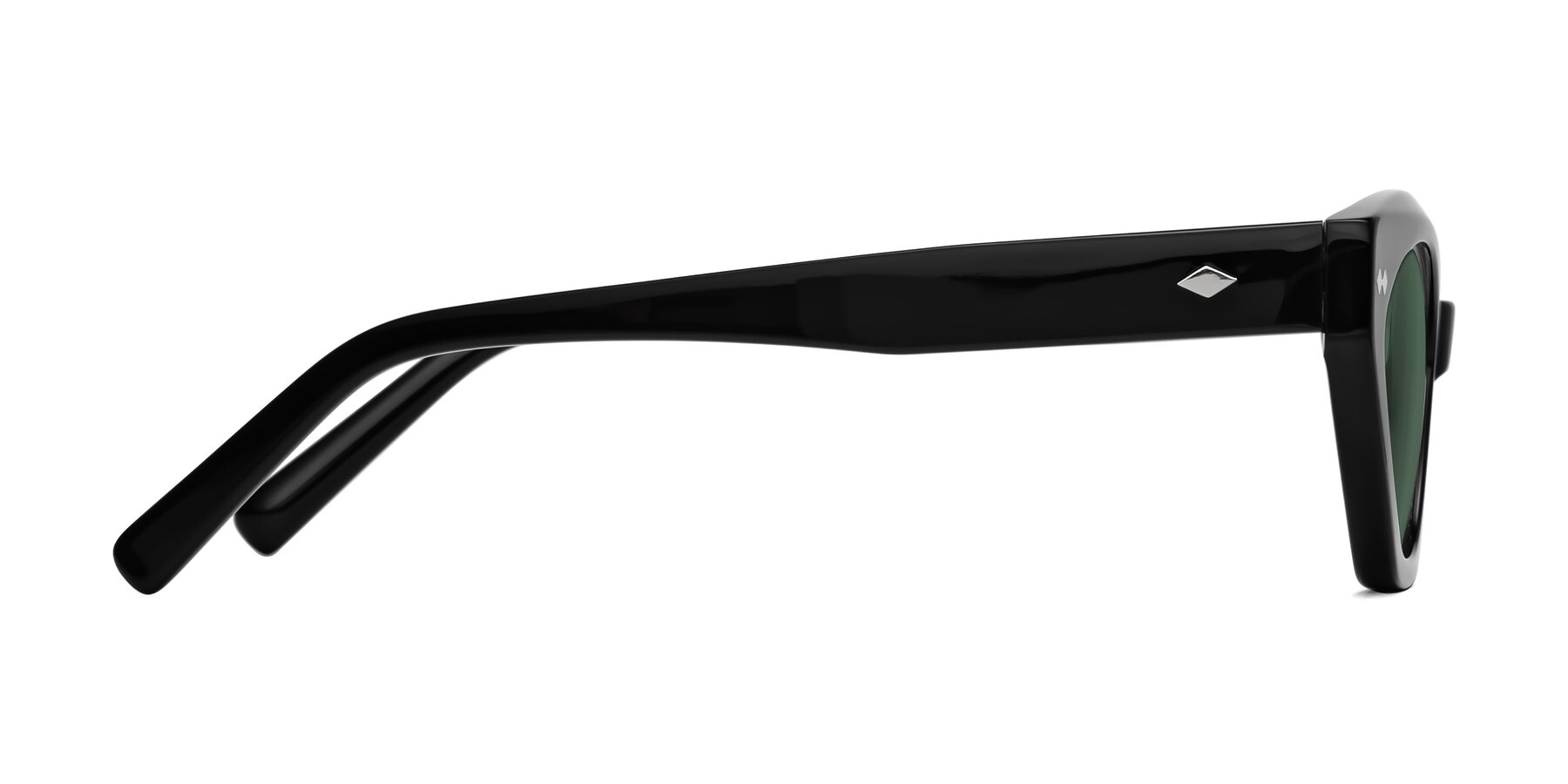 Side of Delphi in Black with Green Polarized Lenses
