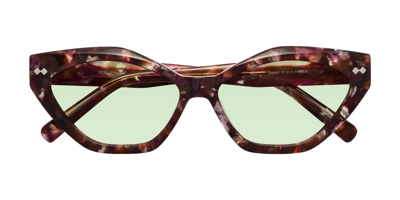 Delphi - Plum Tortoise Tinted Sunglasses