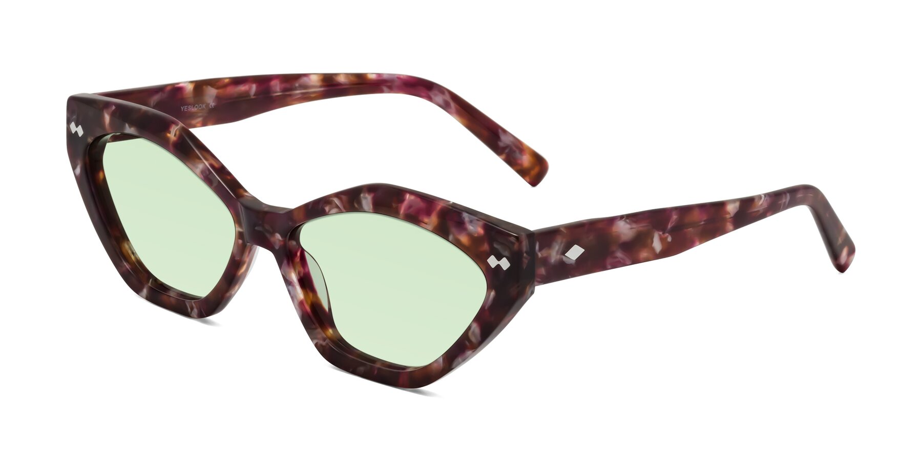 Angle of Delphi in Plum Tortoise with Light Green Tinted Lenses