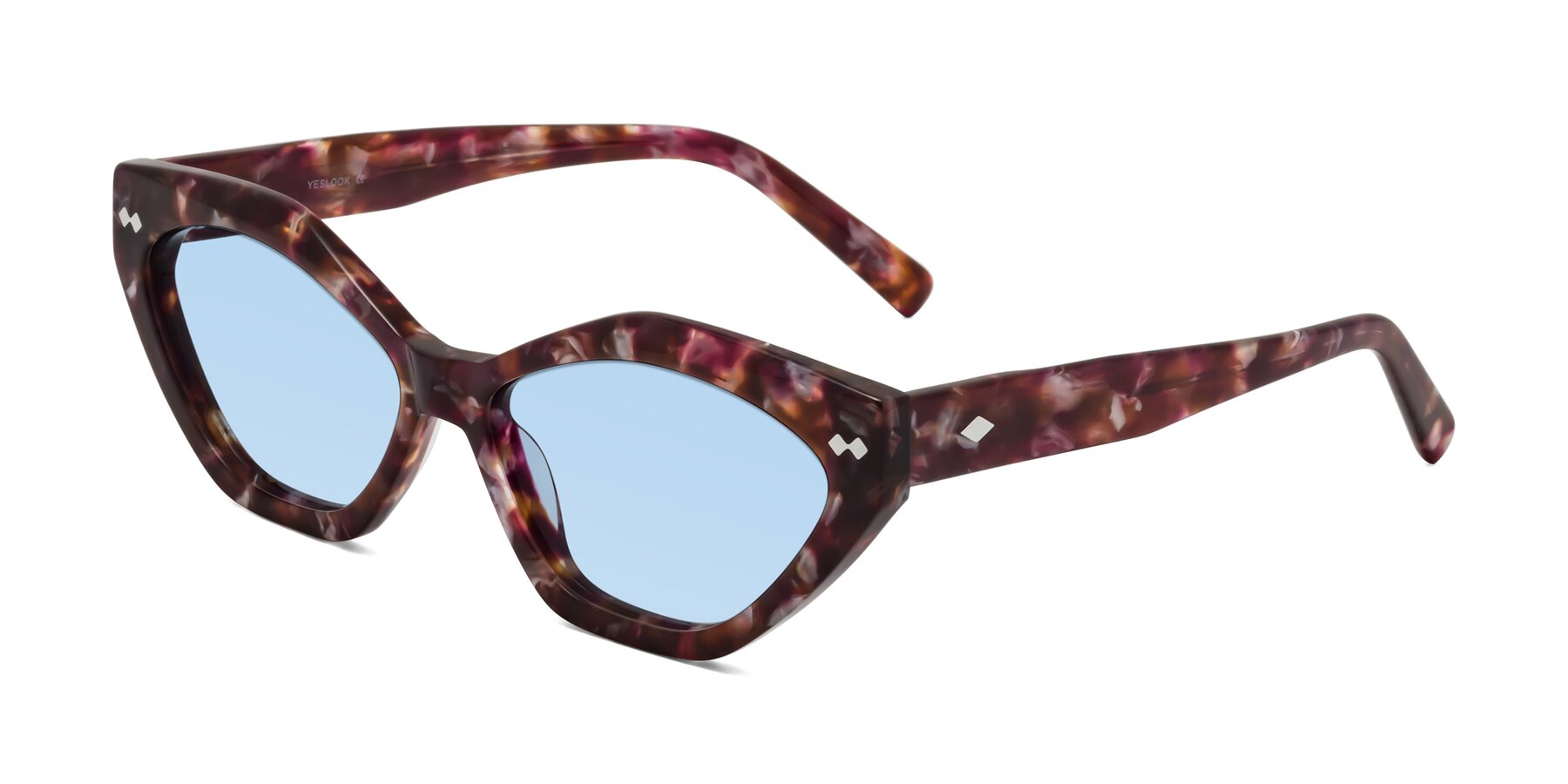 Angle of Delphi in Plum Tortoise with Light Blue Tinted Lenses