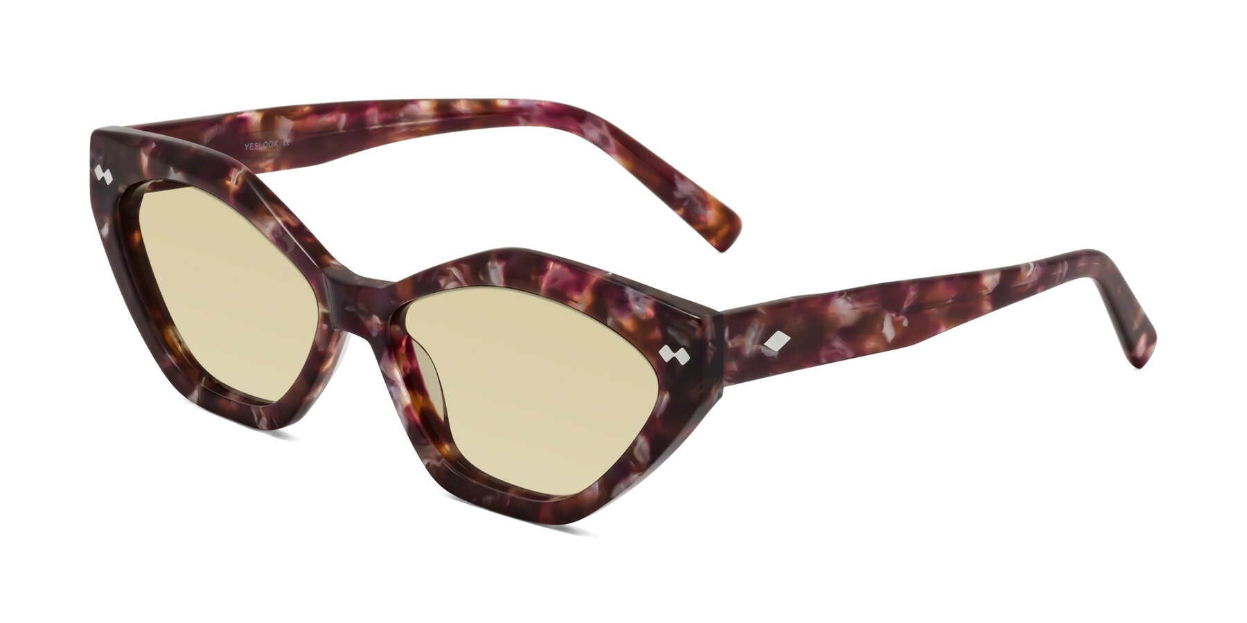 Angle of Delphi in Plum Tortoise with Light Champagne Tinted Lenses