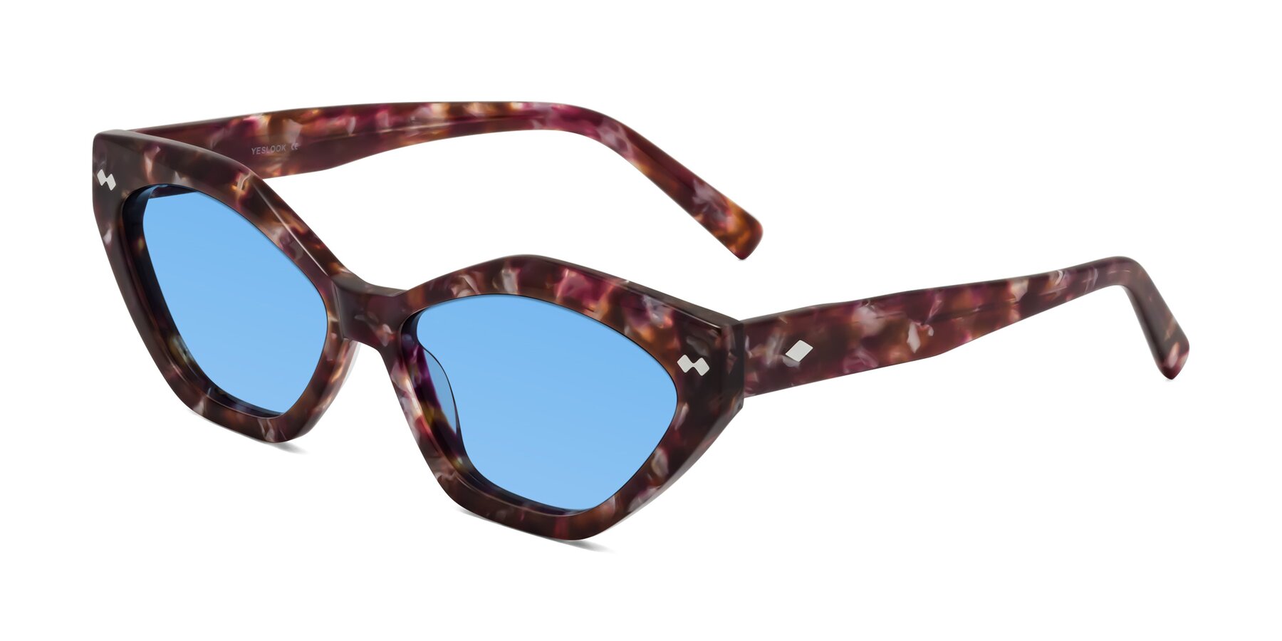 Angle of Delphi in Plum Tortoise with Medium Blue Tinted Lenses