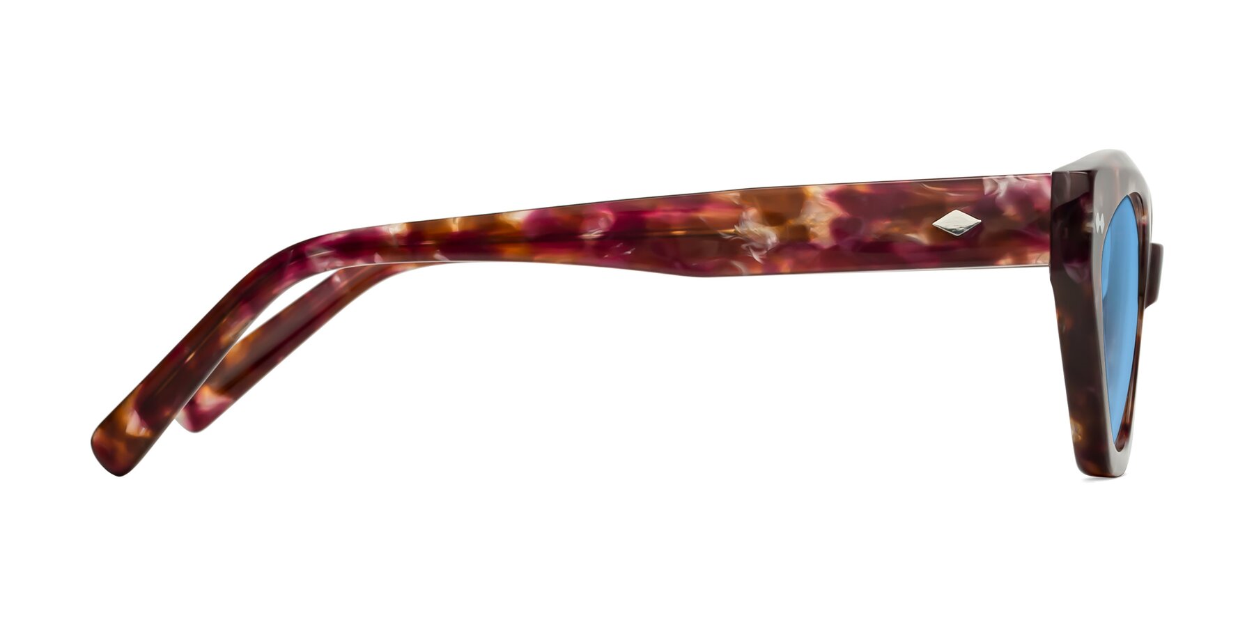 Side of Delphi in Plum Tortoise with Medium Blue Tinted Lenses