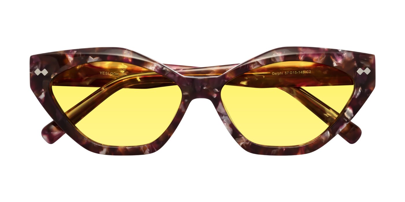 Delphi - Plum Tortoise Tinted Sunglasses