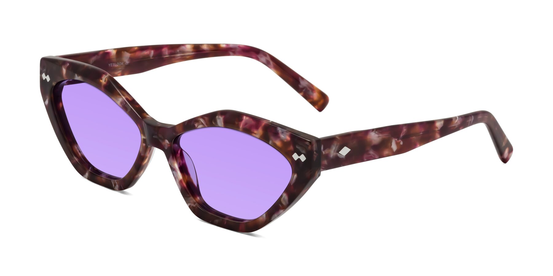 Angle of Delphi in Plum Tortoise with Medium Purple Tinted Lenses