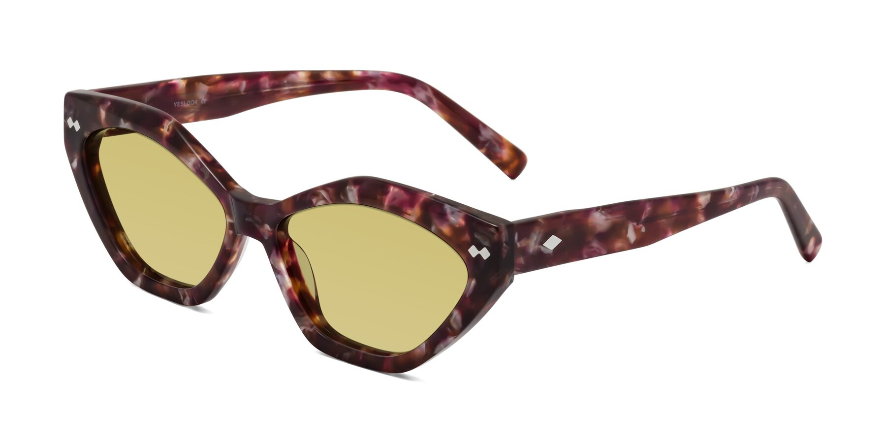 Angle of Delphi in Plum Tortoise with Medium Champagne Tinted Lenses