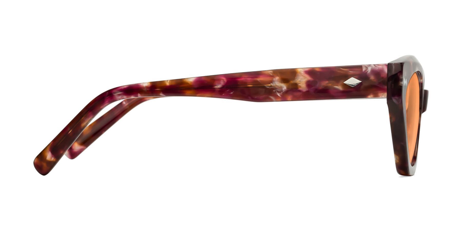 Side of Delphi in Plum Tortoise with Medium Orange Tinted Lenses