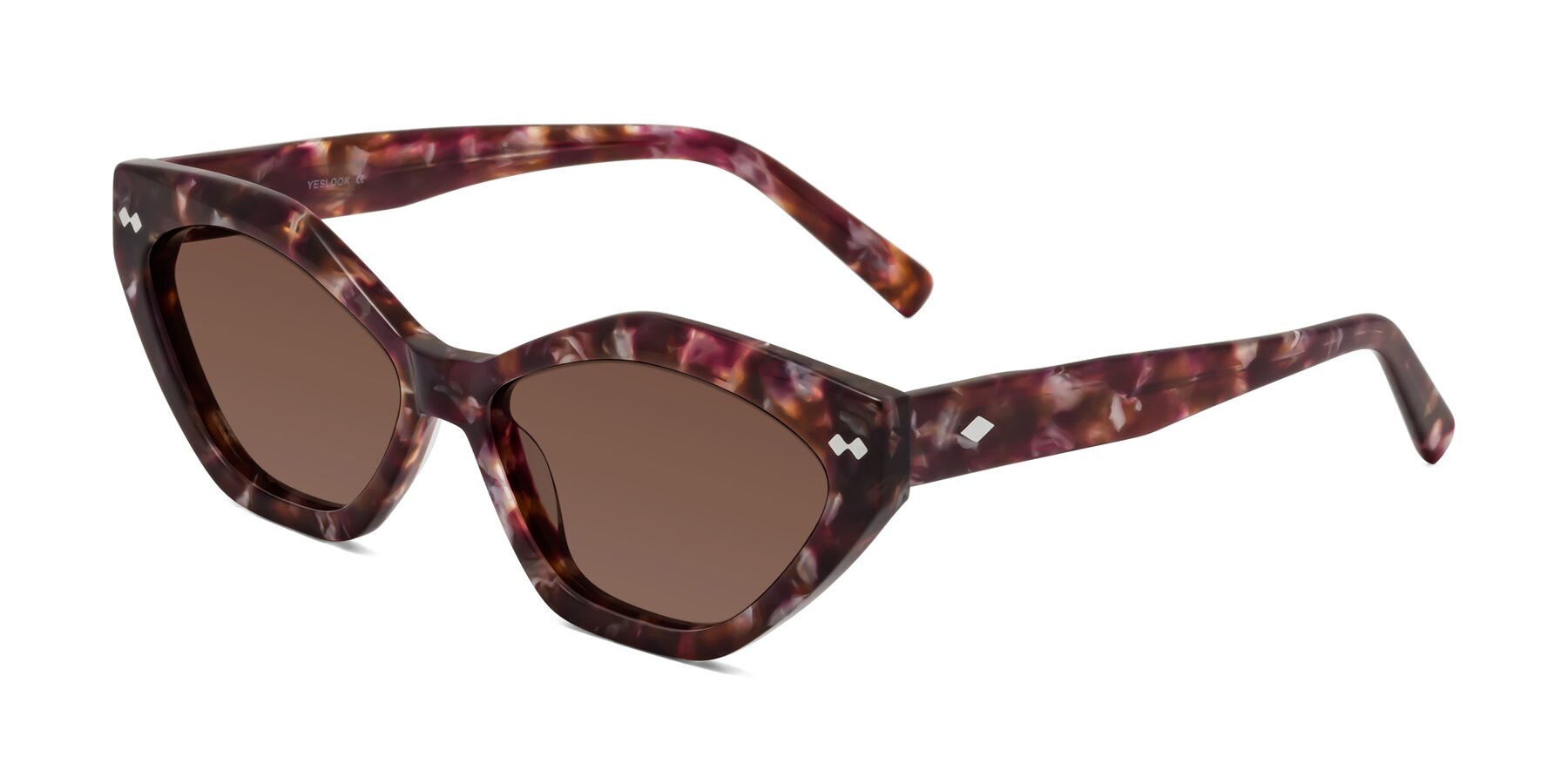 Angle of Delphi in Plum Tortoise with Brown Tinted Lenses
