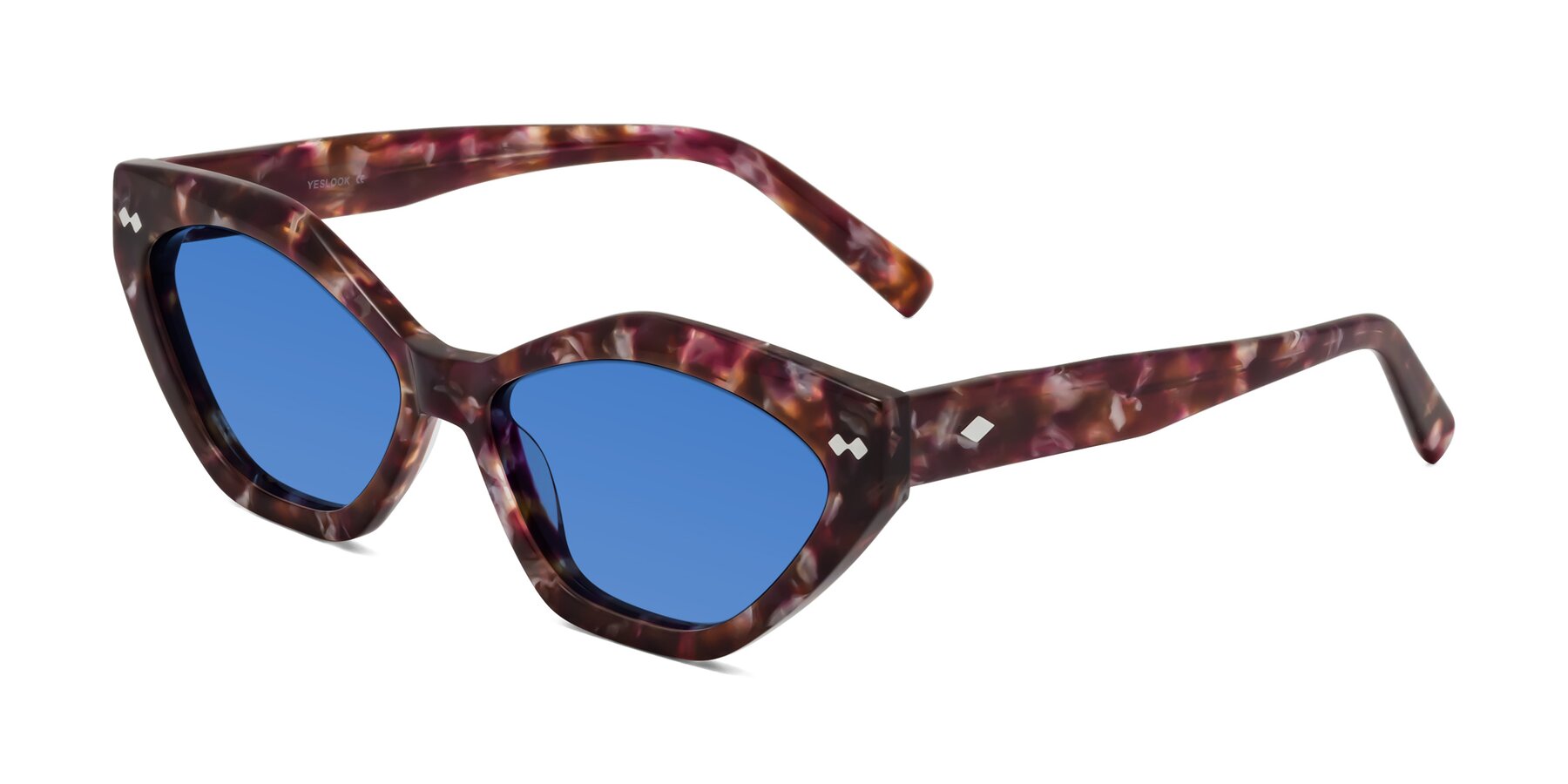 Angle of Delphi in Plum Tortoise with Blue Tinted Lenses